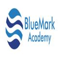 BlueMark Academy
